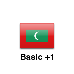 Basic +1 Edition